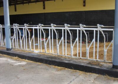 Fanggitter Kälberstall, Stahlrohr